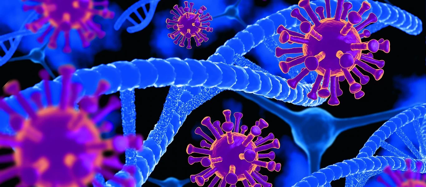 Ουχάν: Συσκευασία κατεψυγμένου κρέατος που είχε εισαχθεί από τη Βραζιλία ήταν μολυσμένη με κορωνοϊό